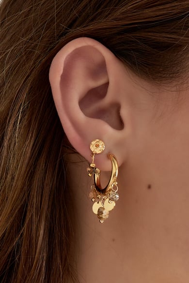 Earrings coins - brown h5 Picture2